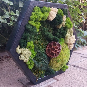 Tablou Hexagonal, cu licheni si muschi stabilizati, 32x27 cm - casă & stil de viață - decorațiuni de casă - decorațiuni de pereți - tablou cu licheni - Artynos.ro