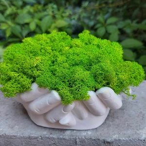 Aranjament, ghiveci decorativ Maini, cu licheni naturali, Casa & Stil de viata, Decoratiuni de casa, Accesorii florale, Flori in ghiveci, , ARTYNOS