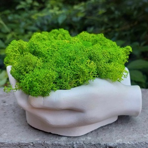 Aranjament, ghiveci decorativ Maini, cu licheni naturali - casă & stil de viață - decorațiuni de casă - accesorii florale - flori în ghiveci - Artynos.ro