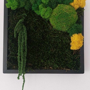 Tablou licheni, 25x25 cm, Casa & Stil de viata, Decoratiuni de casa, Decoratiuni de pereti, Tablou cu licheni, , ARTYNOS