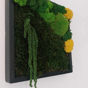 Tablou licheni, 25x25 cm - casă & stil de viață - decorațiuni de casă - decorațiuni de pereți - tablou cu licheni - Artynos.ro