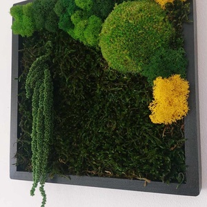 Tablou licheni, 25x25 cm - casă & stil de viață - decorațiuni de casă - decorațiuni de pereți - tablou cu licheni - Artynos.ro