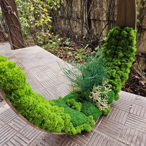 Oglinda cu licheni si muschi bombati, D60 cm - casă & stil de viață - accesorii de baie - decorațiuni de baie - Artynos.ro