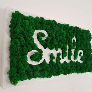 Tablou Smile, cu licheni - Artynos.ro