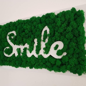 Tablou Smile, cu licheni - casă & stil de viață - decorațiuni de casă - decorațiuni de pereți - tablou cu licheni - Artynos.ro