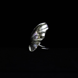 Inel Winding Wing - bijuterii - inele - inele figurate - Artynos.ro