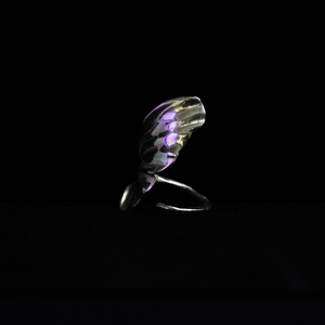 Inel Winding Wing - bijuterii - inele - inele figurate - Artynos.ro