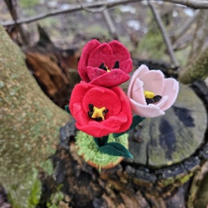 Decorațiune cu lalele - casă & stil de viață - decorațiuni de casă - accesorii florale - flori în ghiveci - Artynos.ro