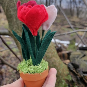 Decorațiune cu lalele - casă & stil de viață - decorațiuni de casă - accesorii florale - flori în ghiveci - Artynos.ro