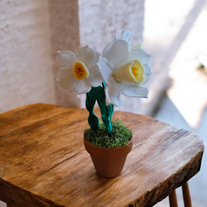 Decorațiune cu narcise - casă & stil de viață - decorațiuni de casă - accesorii florale - flori în ghiveci - Artynos.ro