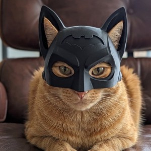 Masca Batman Cica, , , Pentru sedinte foto sau ca cadou amuzant.
Greutate redusa (100 de grame).
Un obiect special pentru ..., ARTYNOS
