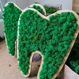 Dinți decorat cu licheni naturali stabilizati, Casă & Stil de viață, Accesorii pentru decorat casa, Decorațiuni de pereți, decorațiuni suspendate, Decorațiuni cu licheni, Prelucrarea lemnului, ARTYNOS