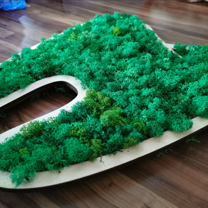 Dinți decorat cu licheni naturali stabilizati - casă & stil de viață - accesorii pentru decorat casa - decorațiuni de pereți, decorațiuni suspendate - decorațiuni cu licheni - Artynos.ro