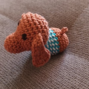 Mini dachshund în pulover -  - Artynos.ro