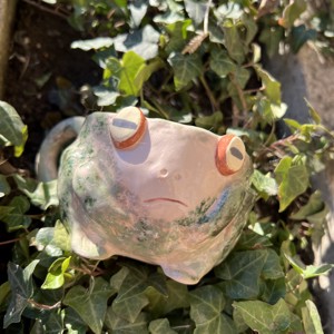 Cană cu broască fericită Sleepy frog - cadou perfect, aproximativ 250 ml - casă & stil de viață - accesorii pentru echipamente de bucătărie - accesorii de servire - căni - Artynos.ro