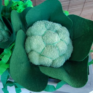 Feluri de mancare cu file - Broccoli, , , ARTYNOS