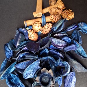 Set de materiale decorative: bețișoare de scorțișoară, conuri mici și fructe uscate  -  - Artynos.ro