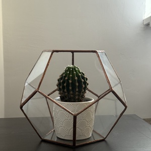 Terariu geometric din sticlă  decor versatil și modern - casă & stil de viață - accesorii pentru decorat casa - decorațiuni de masă și decorațiuni pentru rafturi  - sticle ornamentale - Artynos.ro