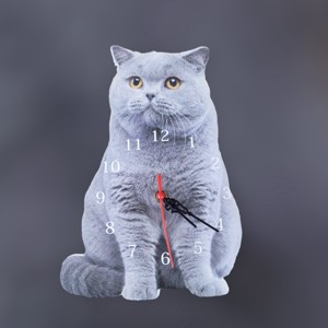 Ceas de perete cu pisoi - Artynos.ro