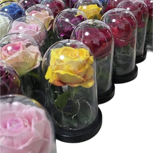 Cupola cu un trandafir si luminite , Accessorii si unelte, Accesorii decorative, Figurine, Aranjament de flori, ARTYNOS