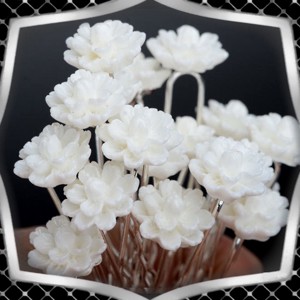 Bijuterii, ornamente de par, catarame de par: nunta, mireasa, ornament de par casual ES-H-TŰ21 10pcs/pack, , , ARTYNOS