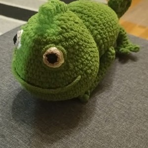 Pascal cameleonul, , , ARTYNOS