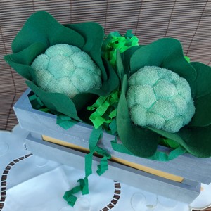 Feluri de mâncare cu file - Broccoli -  - Artynos.ro