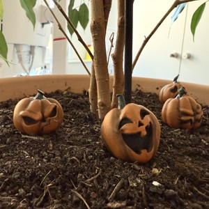 Mini dovlecei pentru decorațiuni de Halloween și de toamnă - casă & stil de viață - decorațiuni de casă - halloween - tot ce ai nevoie de o petrecere! - dovleac de halloween - Artynos.ro