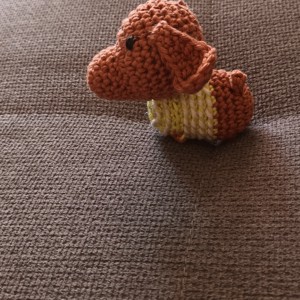 Mini dachshund in pulover, , , ARTYNOS