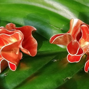 Cercei cu flori din cupru - bijuterii - cercei cu figurine - Artynos.ro Cercei cu flori din cupru - bijuterii - cercei cu figurine - Artynos.ro