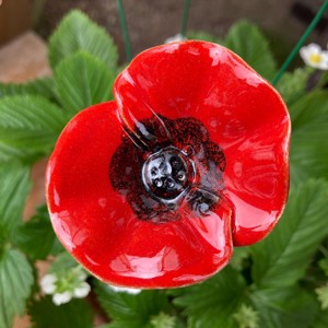 Floare de mac din ceramică realizată manual - casă & stil de viață - decorațiuni de casă - accesorii florale - flori la fir - Artynos.ro