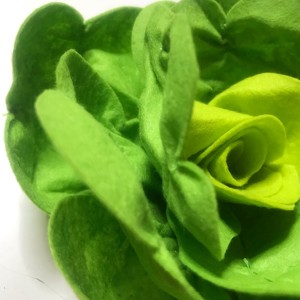 Feluri de mâncare cu file - Salată -  - Artynos.ro