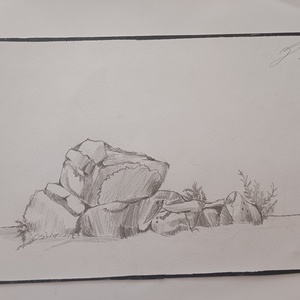 Desen creion natura autor copil 11 ani - arte vizuale și accesorii  - grafică, ilustrație - alte desene - Artynos.ro
