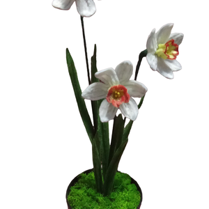 Narcise Ghiveci  - casă & stil de viață - decorațiuni de casă - accesorii florale - flori în ghiveci - Artynos.ro