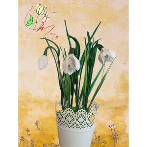 Ghiocei Ghiveci  - casă & stil de viață - decorațiuni de casă - accesorii florale - flori în ghiveci - Artynos.ro