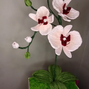 Orhidee Roz - casă & stil de viață - decorațiuni de casă - accesorii florale - flori în ghiveci - Artynos.ro