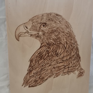 American Eagle, Casa & Stil de viata, Decoratiuni de casa, Picturi murale, Gravare, pirogravura, ARTYNOS