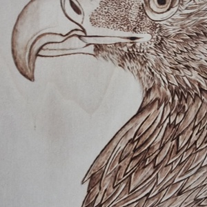 American Eagle - casă & stil de viață - decorațiuni de casă - picturi murale - Artynos.ro