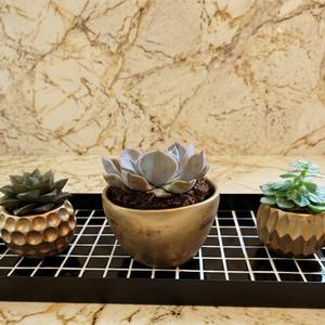 Tava neagra din mozaic de sticla neagra 40x20 cm - casă & stil de viață - echipamente de bucătărie - accesorii de servire - tăvițe - Artynos.ro