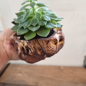 Ghiveci Buturuga Ceramic, Casa & Stil de viata, Decoratiuni de casa, Accesorii florale, Ghiveci de plante, Ceramica, Ghiveci Buturuga Ceramic 12x8 cm, aspect de lemn, model deosebit, ideal pentru plante suculente, ARTYNOS