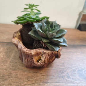 Ghiveci Buturuga Ceramic - casă & stil de viață - decorațiuni de casă - accesorii florale - ghiveci de plante - Artynos.ro