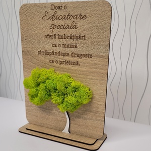 Ornament pentru Educatoare - cu licheni verde bitter lemon - casă & stil de viață - decorațiuni de casă - decorațiuni de pereți - decorațiuni cu licheni - Artynos.ro