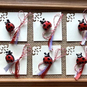 Martisor buburuza, brosa din rasina, Bijuterii, Martisor, , ARTYNOS