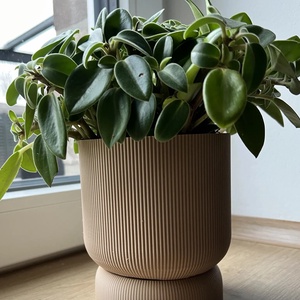 Jardinieră 3D cu tavă de picurare cu șurub - casă & stil de viață - accesorii pentru decorat casa - suport de flori - ghiveci și jardiniere - Artynos.ro