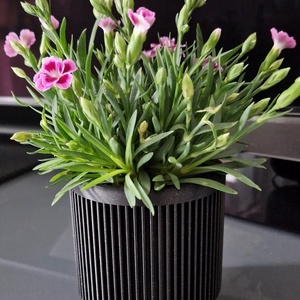 Ghiveci de flori 3D cu picioare - Artynos.ro