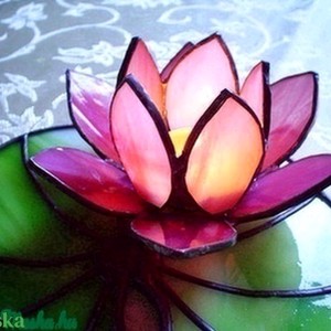 Destul de roz Tyffany Lotus, , , ARTYNOS