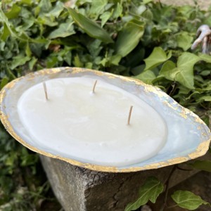 Lumânare unică cu scoici de lac - Lumânare artizanală din materiale naturale -  - Artynos.ro