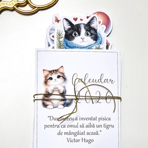 Calendar 2026 - arte vizuale și accesorii  - cărți de calendar, cărți sport - Artynos.ro