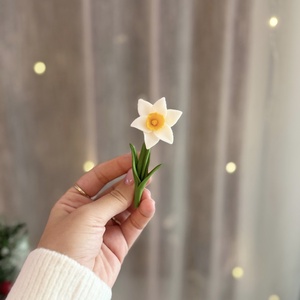 Brosa Narcisa - Artynos.ro