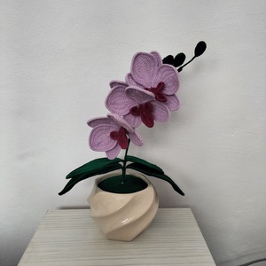 Orhidee crosetata - Artynos.ro